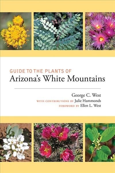 Guide to the Plants of Arizonas White Mountains (Paperback)
