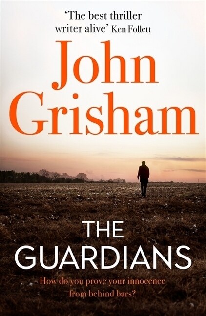 The Guardians : The Sunday Times Bestseller (Hardcover)