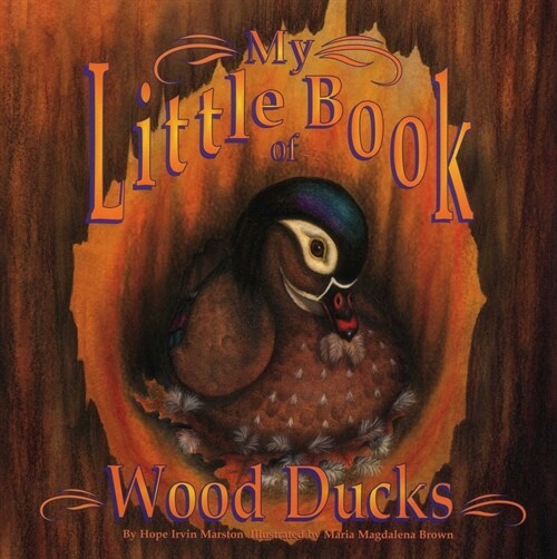 MY LITTLE BOOK OF WOOD DUCKS (Paperback)