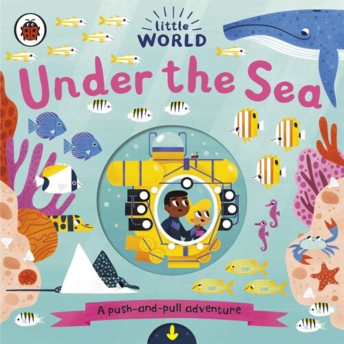 Little World: Under the Sea : A push-and-pull adventure (Board Book)