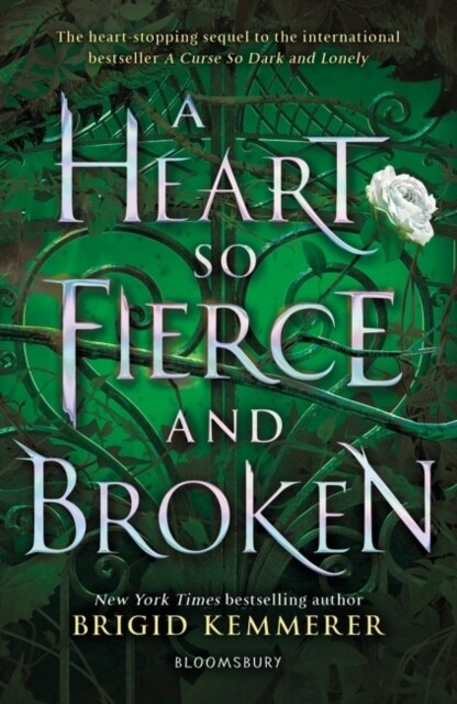 A Heart So Fierce and Broken (Paperback)