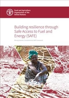 Building Resilience Through Safe Access to Fuel and Energy (Safe): Moving Towards a Comprehensive Safe Framework (Paperback)