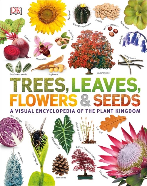 Our World in Pictures: Trees, Leaves, Flowers & Seeds (Hardcover)