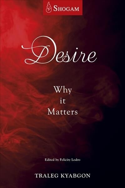 Desire: Why It Matters (Paperback)