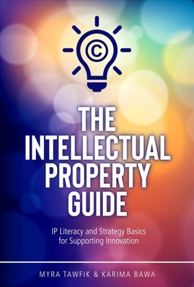 The Intellectual Property Guide: IP Literacy and Strategy Basics for Supporting Innovation (Paperback)