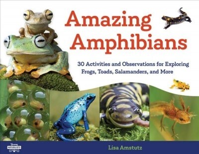 Amazing Amphibians: 30 Activities and Observations for Exploring Frogs, Toads, Salamanders, and More Volume 6 (Paperback)