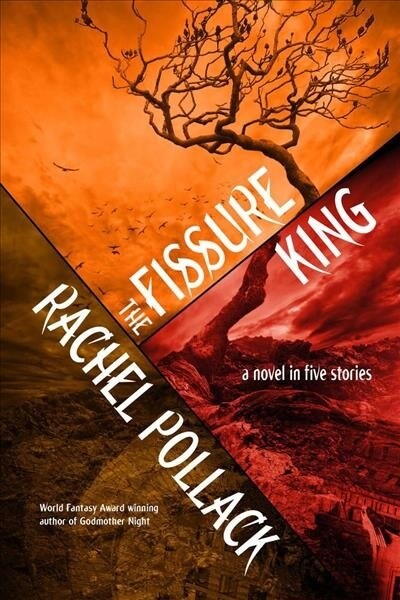 The Fissure King: A Novel in Five Stories (Paperback)