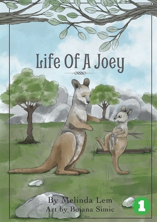 Life of a Joey (Paperback)