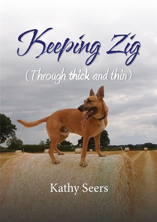 Keeping Zig (Paperback)