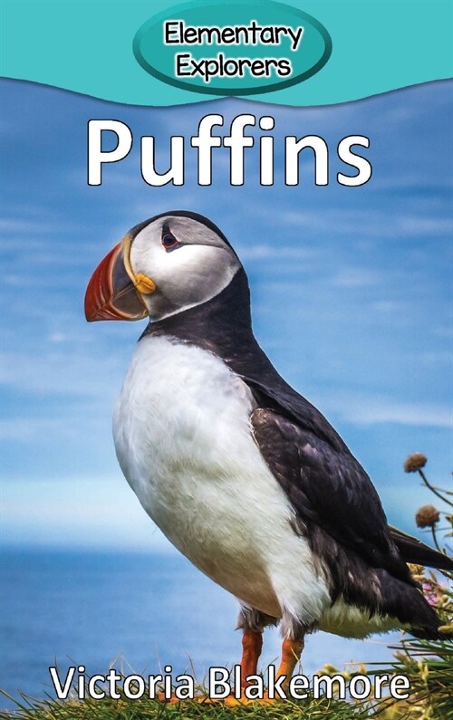 Puffins (Hardcover)