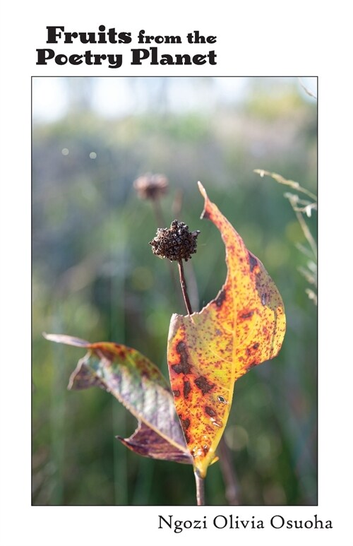 Fruits from the Poetry Planet (Paperback)