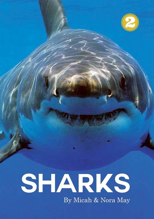 Sharks (Paperback)