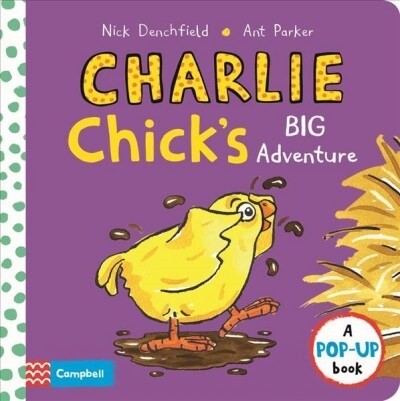 Charlie Chicks Big Adventure (Hardcover)