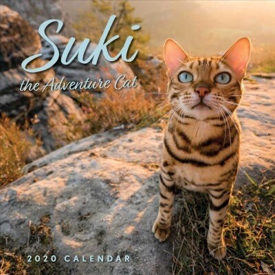 Suki the Adventure Cat 2020 Wall Calendar (Wall)