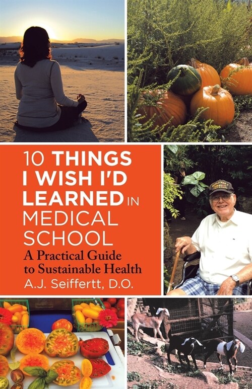 10 Things I Wish Id Learned in Medical School: A Practical Guide to Sustainable Health (Paperback)