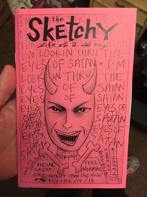 The Sketchy Life of a Fly (Paperback)