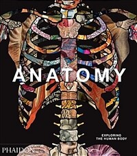 Anatomy : exploring the human body