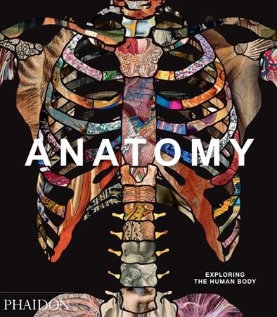 Anatomy : Exploring the Human Body (Hardcover)