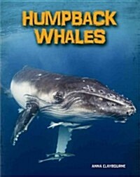 Humpback Whales (Hardcover)