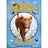 The Five Lives of Our Cat Zook (Paperback)