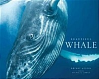 Beautiful whale