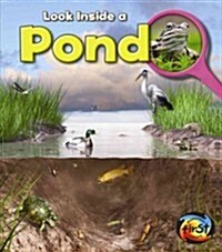 Pond: Look Inside (Paperback)