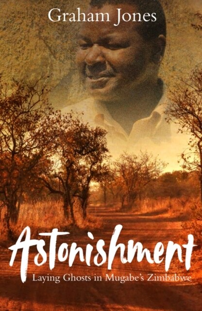 Astonishment : Laying Ghosts in Mugabes Zimbabwe (Paperback)