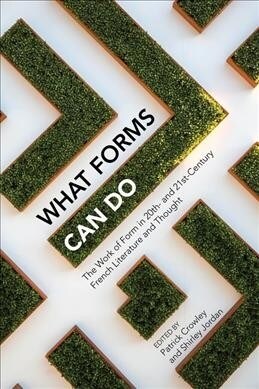 What Forms Can Do : The Work of Form in 20th- and 21st- Century French Literature and Thought (Hardcover)