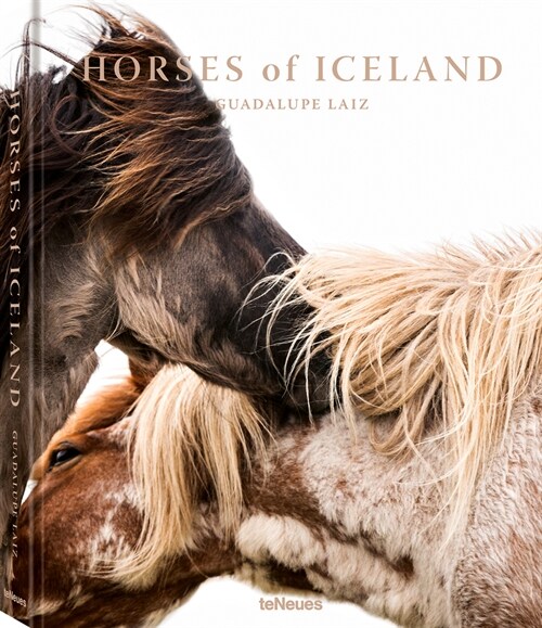 Horses of Iceland (Hardcover)