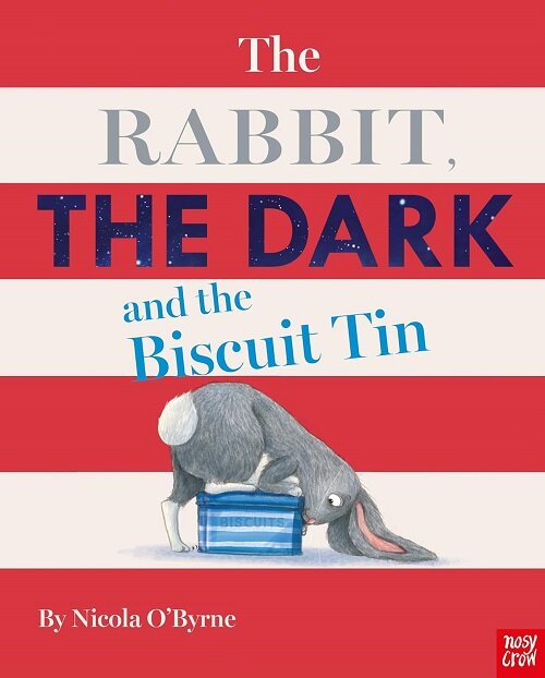 The Rabbit, the Dark and the Biscuit Tin (Paperback)