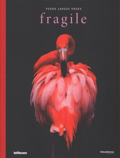 Fragile (Hardcover)