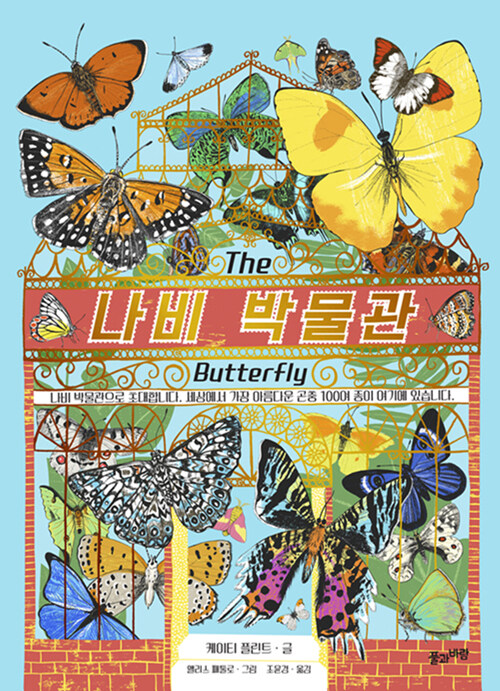 [중고] 나비 박물관