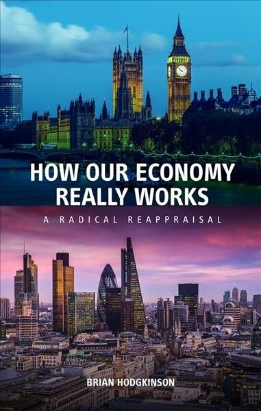 How our Economy Really Works : A Radical Reappraisal (Paperback)