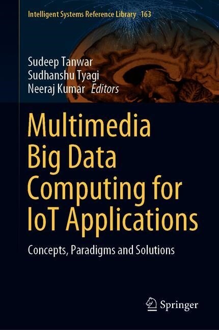 Multimedia Big Data Computing for Iot Applications: Concepts, Paradigms and Solutions (Hardcover, 2020)
