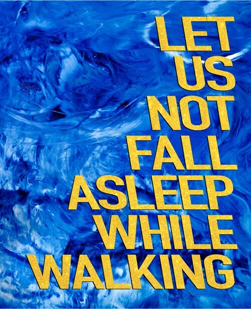 Let Us Not Fall Asleep While Walking (Hardcover)
