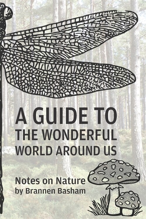 A Guide to the Wonderful World Around Us: Notes on Nature (Paperback)