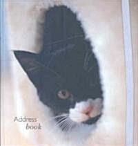 Kitten Pocket Address Book (Hardcover, ADR)