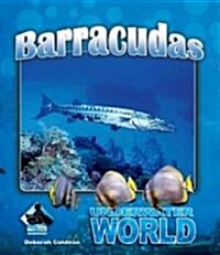 Barracuda (Library Binding)