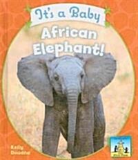 Baby African Animals (Hardcover)