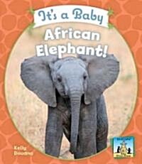 Its a Baby African Elephant! (Library Binding)