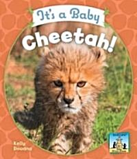 Its a Baby Cheetah! (Library Binding)