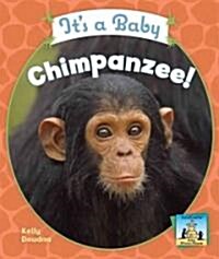 Its a Baby Chimpanzee! (Library Binding)