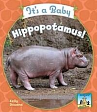 Its a Baby Hippopotamus! (Library Binding)