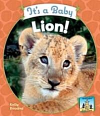 Its a Baby Lion! (Library Binding)