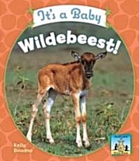 Its a Baby Wildebeest! (Library Binding)