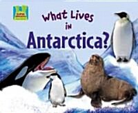 What Lives in Antarctica? (Library Binding)