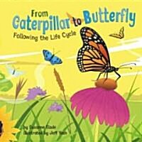 From Caterpillar to Butterfly: Following the Life Cycle (Library Binding)