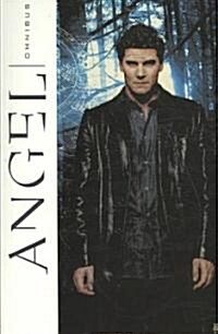 Angel Omnibus (Paperback)