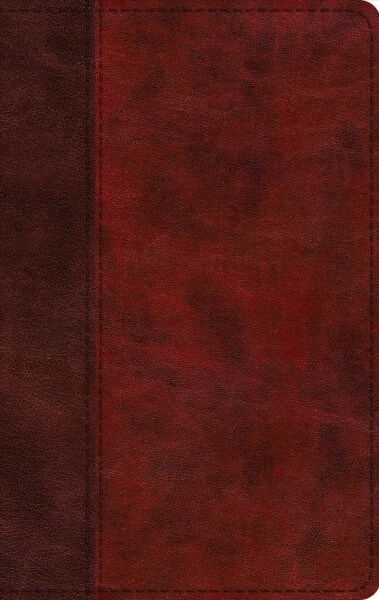 ESV Large Print Thinline Bible (Trutone, Burgundy/Red, Timeless Design) (Imitation Leather)