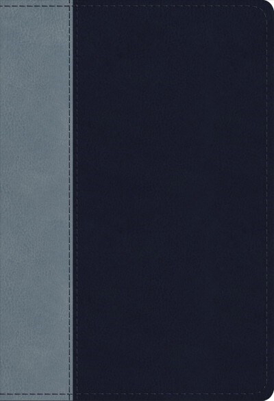 ESV Student Study Bible (Trutone, Navy/Slate, Timeless Design) (Imitation Leather)